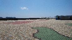 﨑戸海浜公園