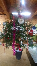 天井まで届きそうな迫力大のクリスマスツリーです！